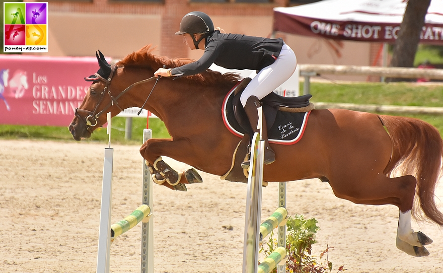 Excellent - Binka's Boy de Florys et Tiffany Daviau- ph. Pauline Bernuchon