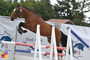 Sologn'Pony National Pfs Poney As