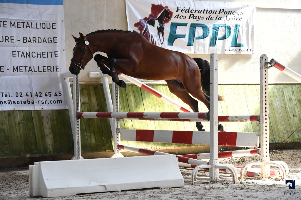 Etonnant de Mel - ph. Edouard Ecary