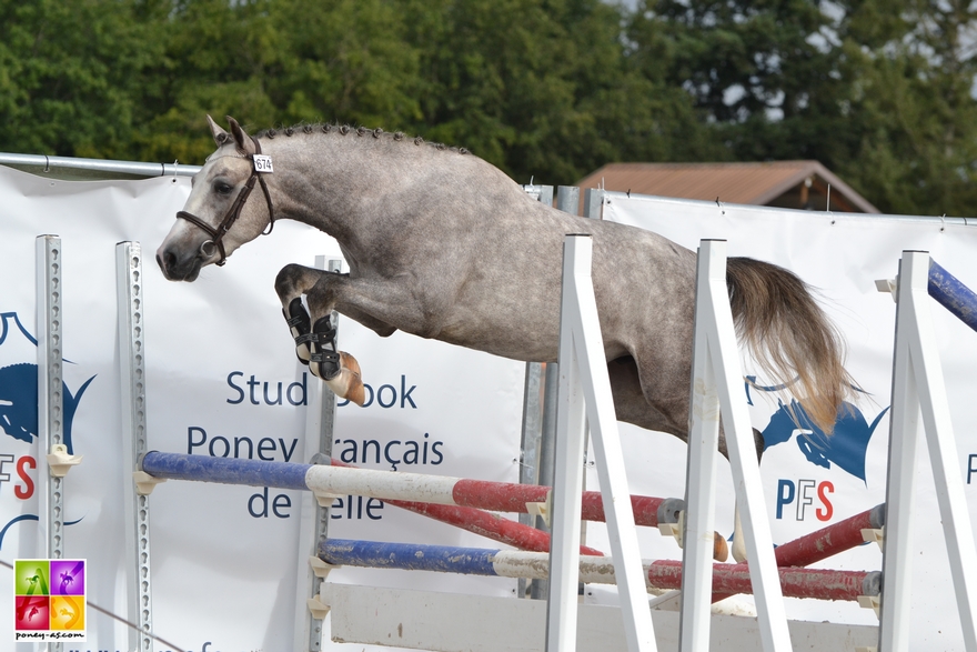 Sologn'Pony National Pfs Poney As