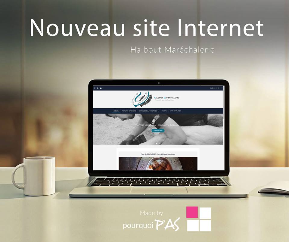 site internet poney as pourquoi p'as