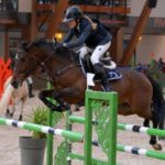 Etalon Poney Sport As 2018