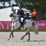 Poney as étalon sport 2018