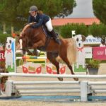 Poney as étalon sport 2018