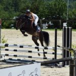 Etalon Poney Sport As 2018