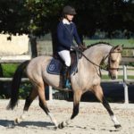 Etalon Poney Sport As 2018