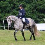 Poney as étalon sport 2018