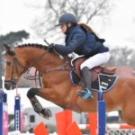 Etalon Poney Sport As 2018