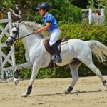 Etalon Poney Sport As 2018