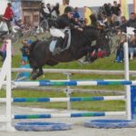 Etalon Poney Sport As 2018