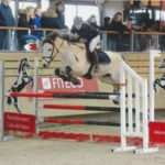 poney as étalon sport 2018