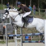 Poney as étalon sport 2018