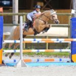 Etalon Poney Sport As 2018