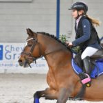 Etalon Poney Sport As 2018