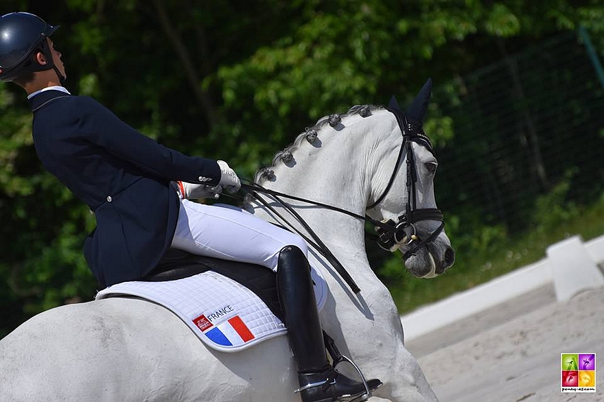 Alexandre Chéret et Butterfly Dew Drop réalisent la meilleure performance française du CDIP de Compiègne - ph. Poney As