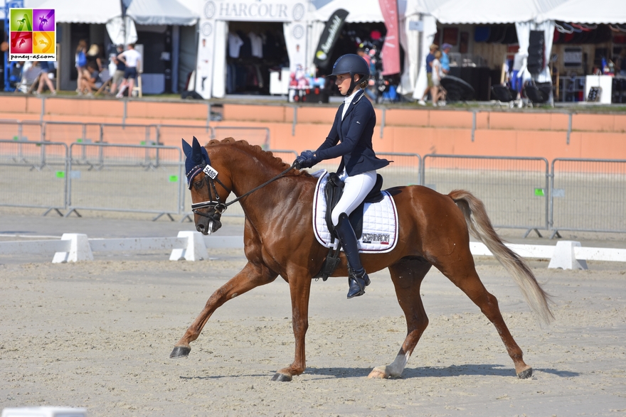 GOF 2018 Lamotte-Beuvron