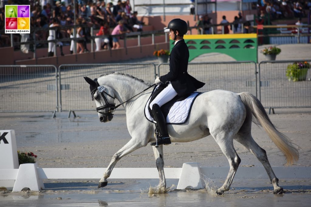 GOF 2018 Lamotte-Beuvron