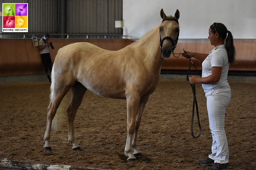 Gina de Grossetière - ph. Poney As