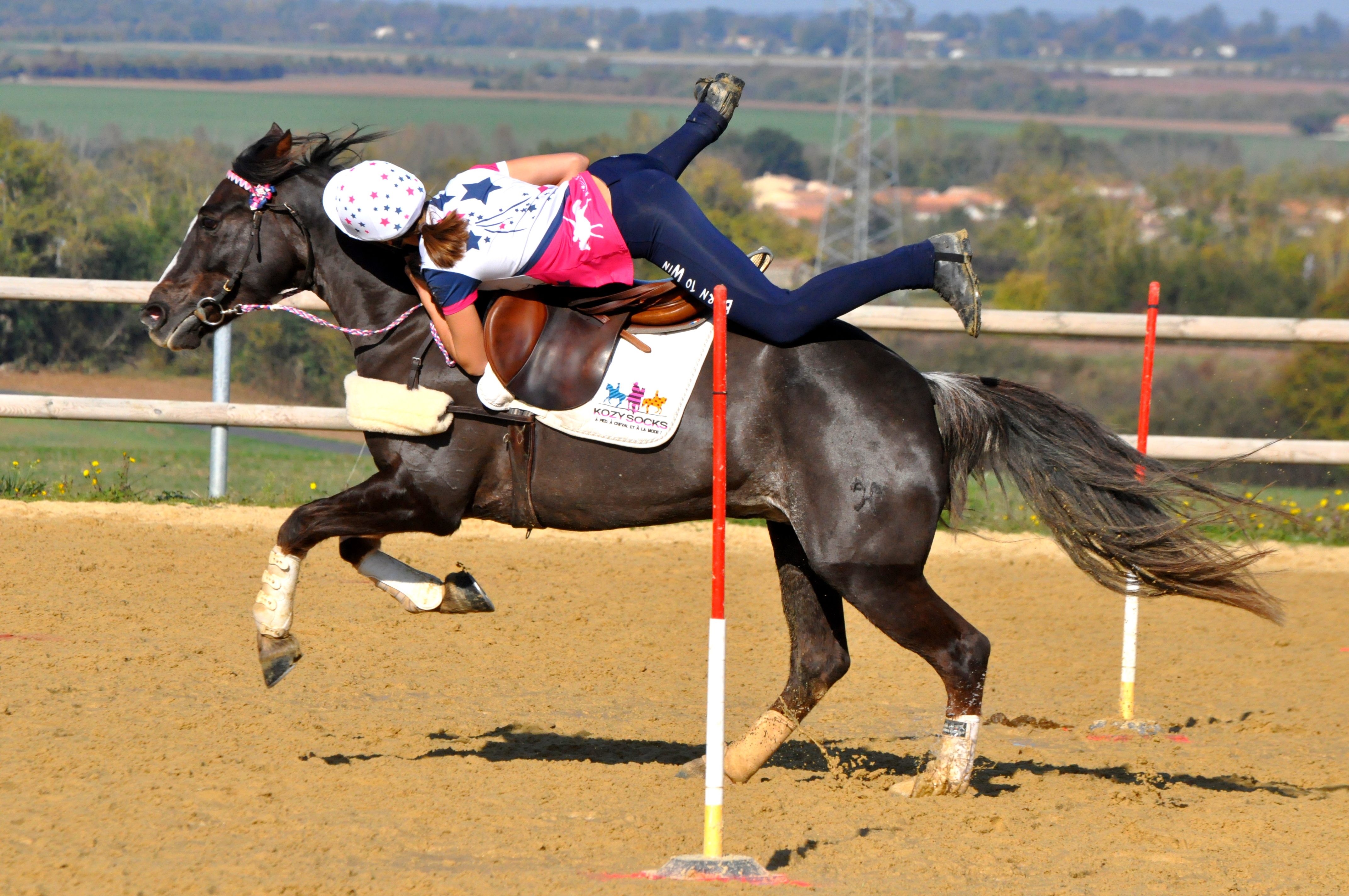 Océane et Mega - Paires de Bel Air en 2017 - ph. coll. privée