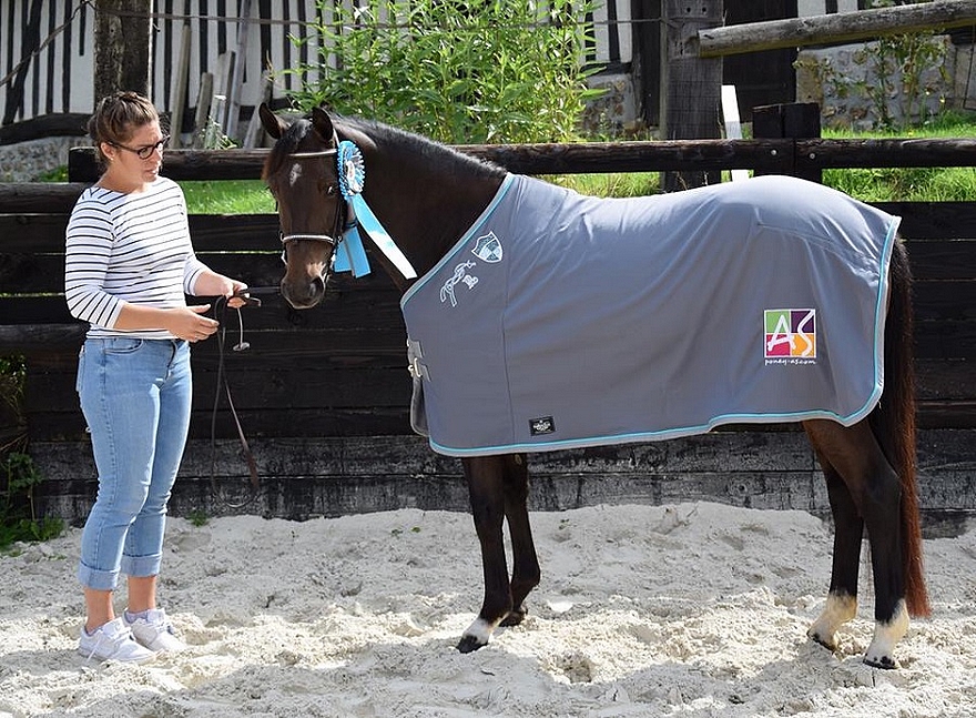 La championne des femelles Pfs de 3 ans, Fortune Teller Alias, portant la chemise Poney As