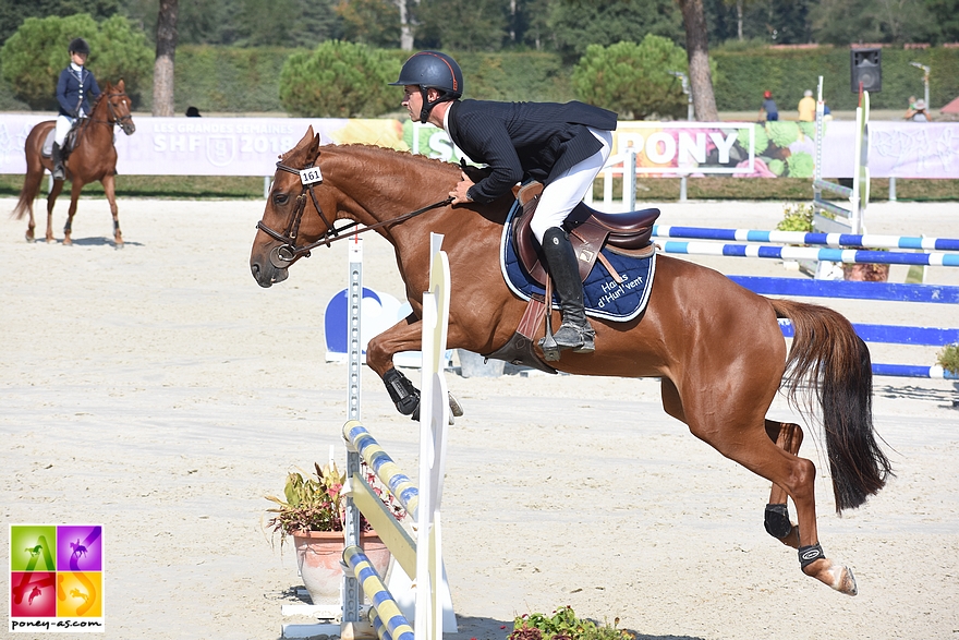 Electra d'Hurl'Vent (Pfs, par Cazador LS, Oes et Hera d’Hurlevent par Boogie de la Gere) et Cédric Hallez lors de la finale SHF 4 ans D - ph. Poney As