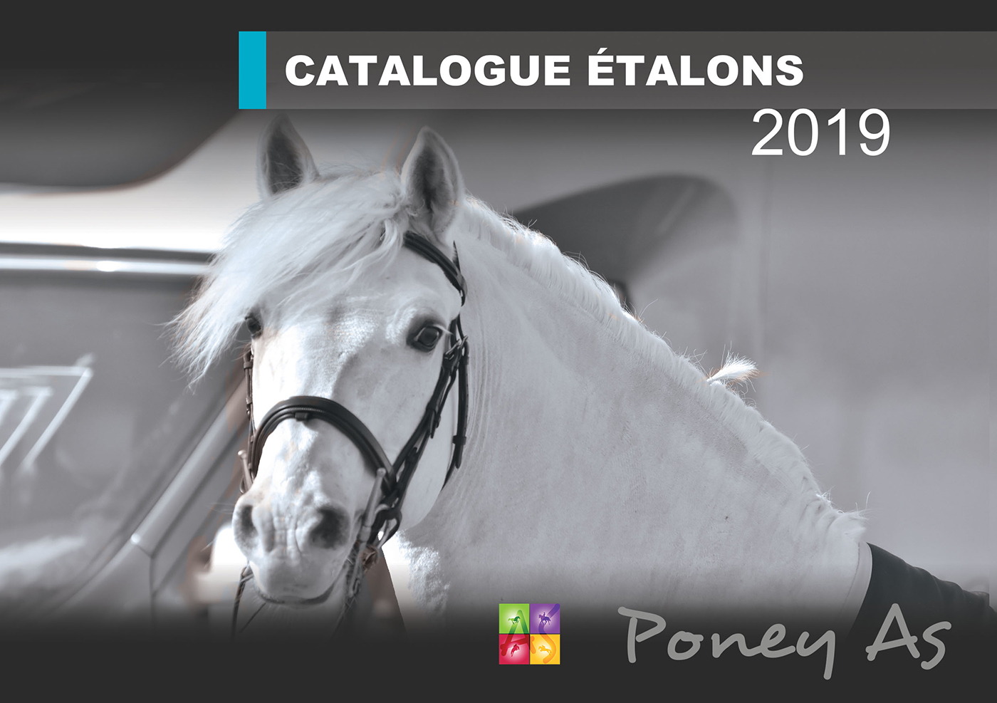 Couv catalogue étalon 2019