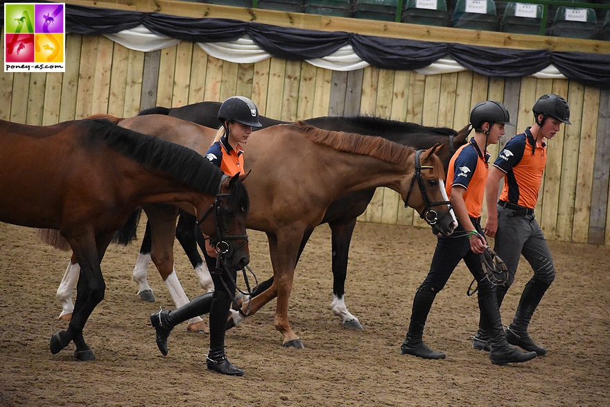 Team Nederland Jumping - ph. Poney As