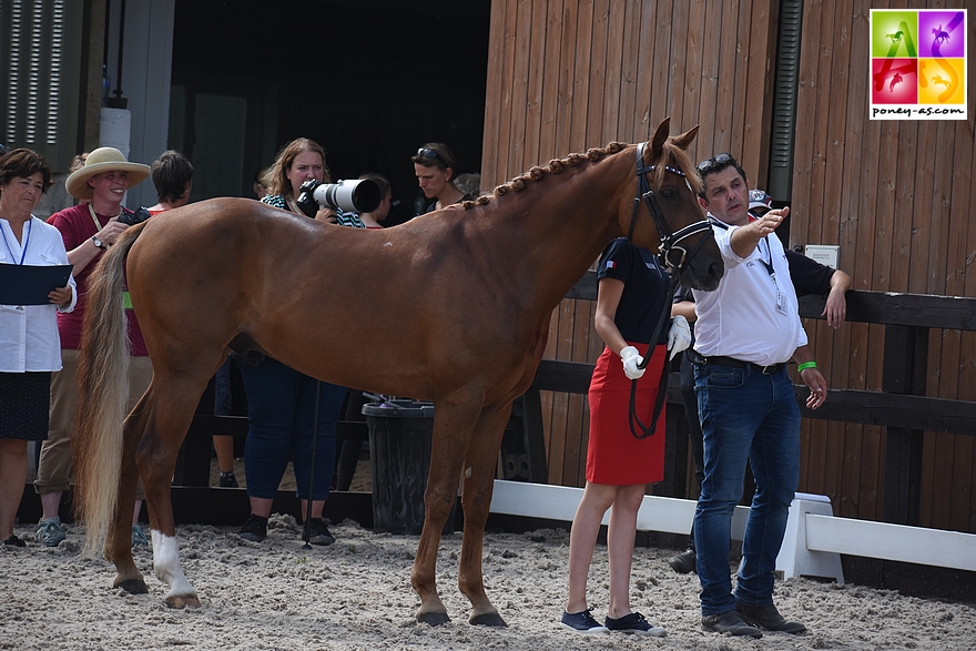 Jade Leborgne et Beltmeyer Linaro - ph. Poney As