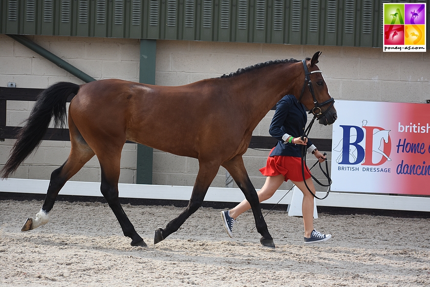 Louise Petitjean et Versailles des Morins - ph. Poney As