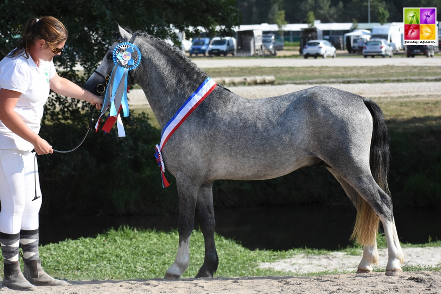 3 ans Sport FPPCF 2018