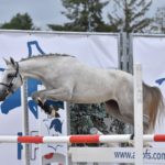 National Pfs 2018 Sologn'Pony