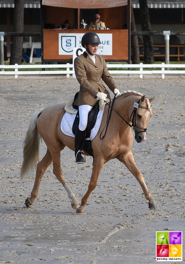 Champion des 4 ans - Mr Miagi S sous la selle de Margot Frattinger - ph. Poney As