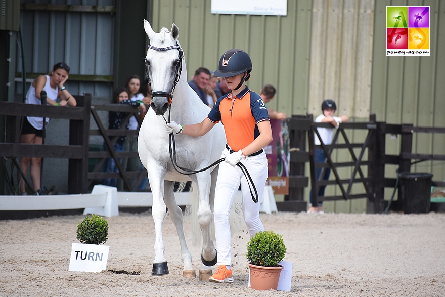 Micky Schelstraete, ici avec son étalon Elin’s Noncisdador - ph. Poney As