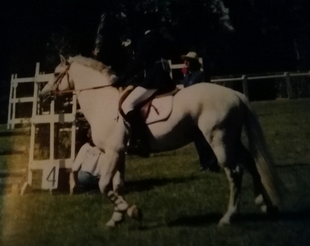 Vandale Daf au National Connemara de Poitiers en 1997 - ph. Poney As