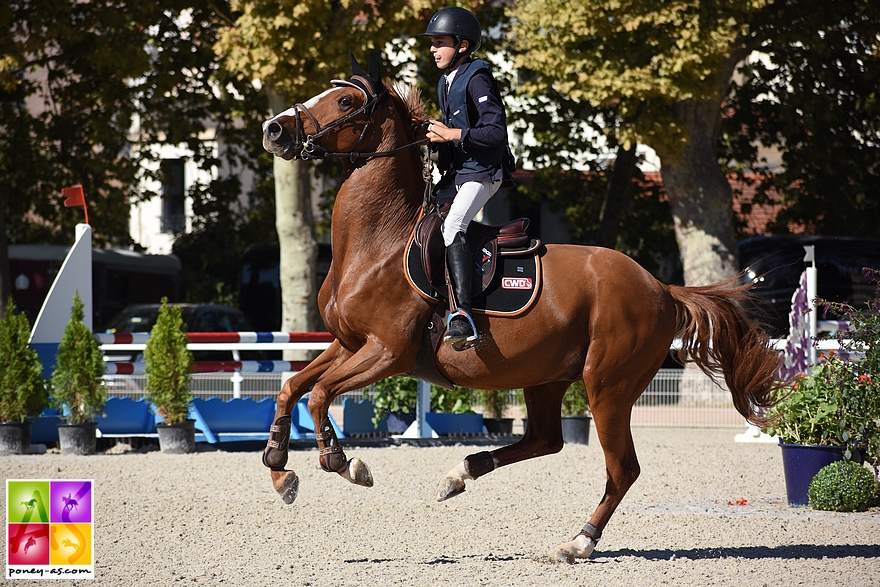 Avec Barabbas, Jules s'est ensuite classé sur tous ces Gands Prix As Elite - ph. Poney As