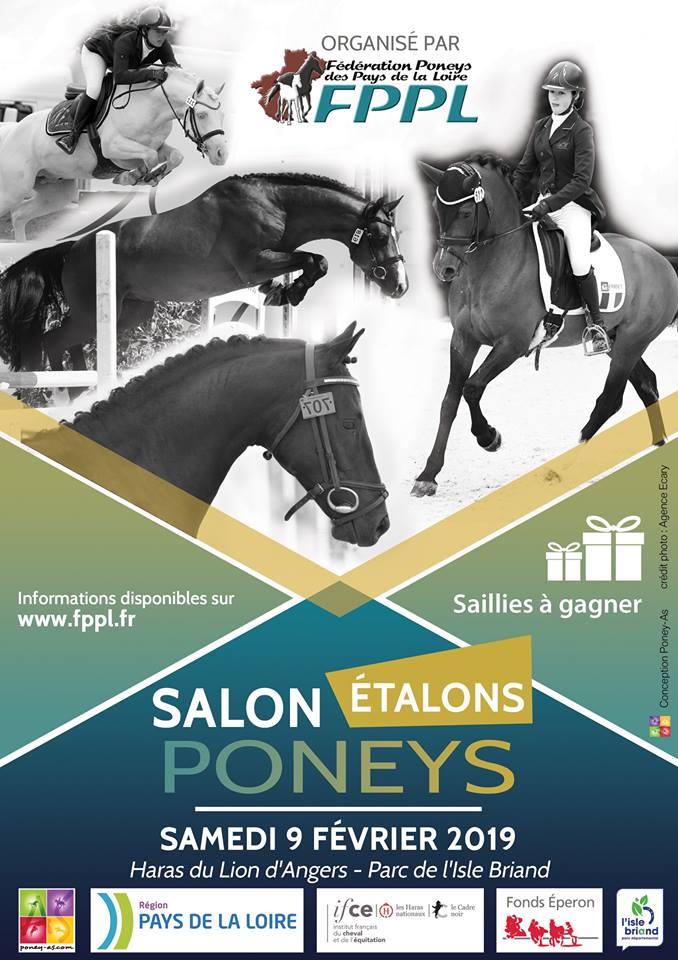 Salon des étalons du Lion d'Angers 2019