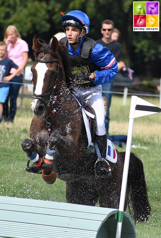 La très titrée Perle du Boisdelanoue, fille de Jessie du Sam - ph. Poney As