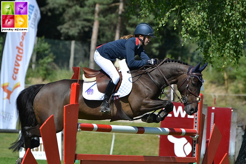 L'européen Nils d'Hurl'Vent, né chez Marie-Claude et Jean Drexler - ph. Poney As