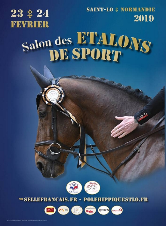 Salon des étalons de Saint-Lô 2019