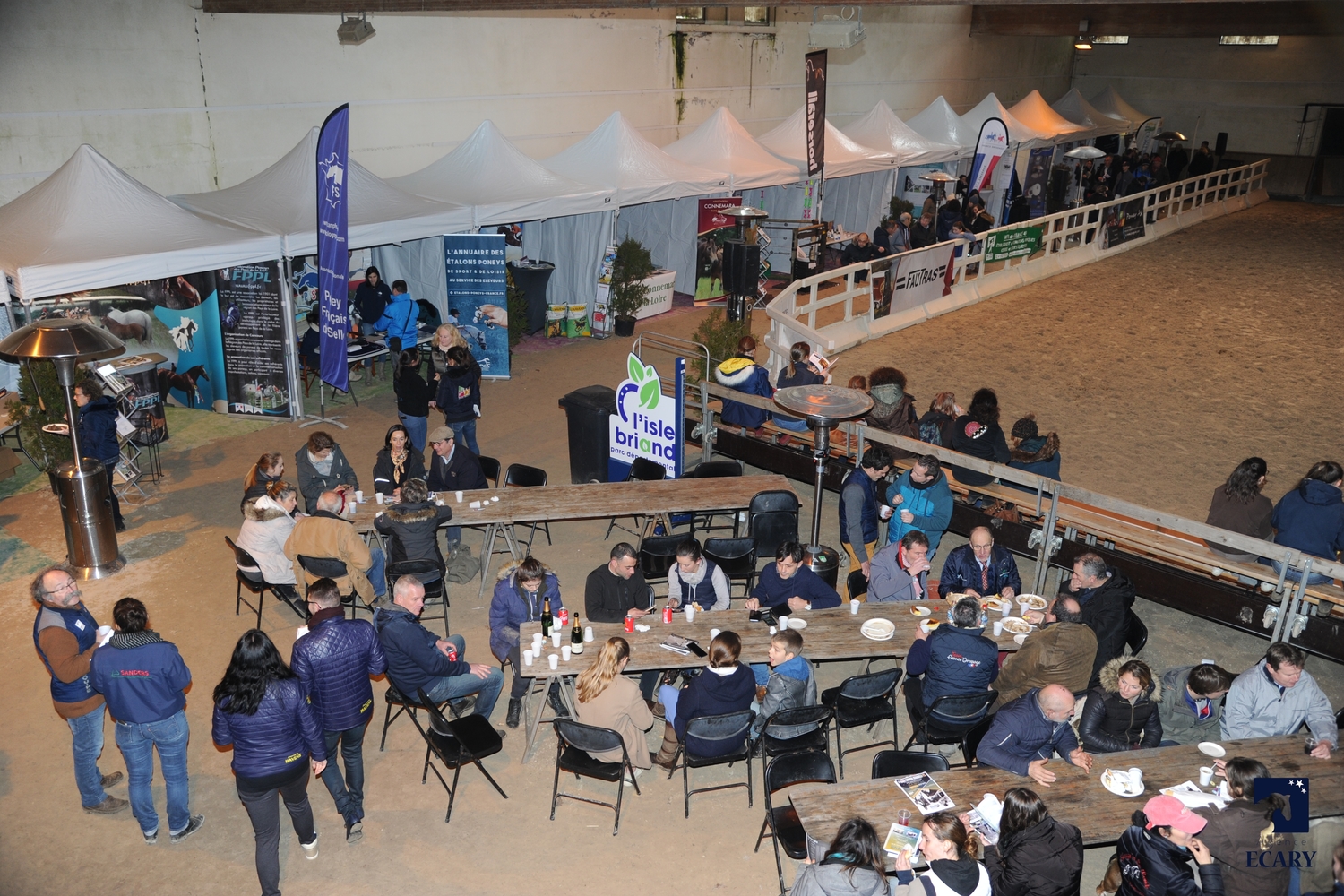 Salon des étalons du Lion d'Angers - ph. Agence Ecary