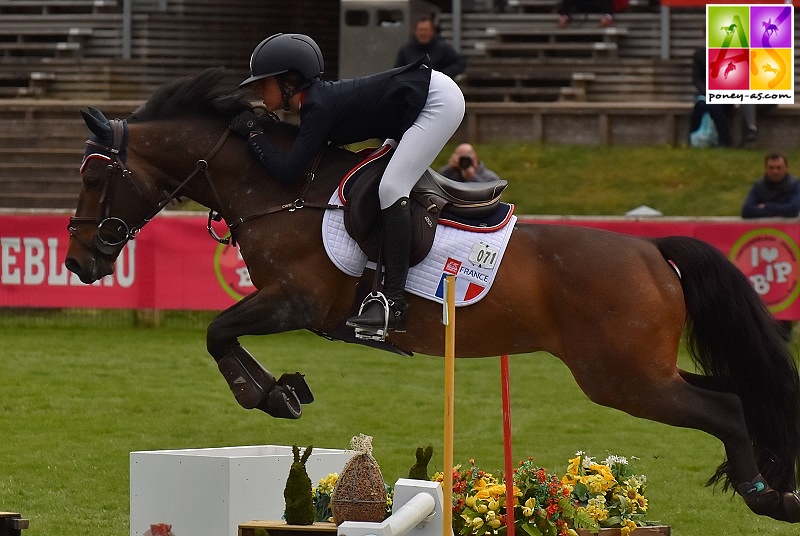 Tricky Choice du Péna, sacré meilleur père du classement SHF 2018 - ph. Poney As