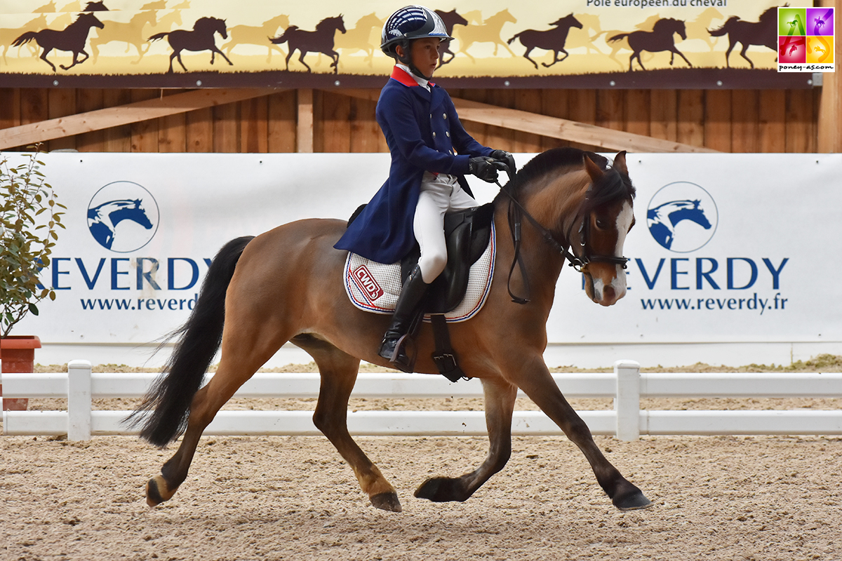 Laurick Hardy et Polhaars Daphne - ph. Poney As