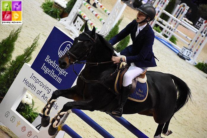 Red Morgan et Bodyssée des Avelines s'offrent le Grand Prix du CSIP du Mans - ph. Poney As