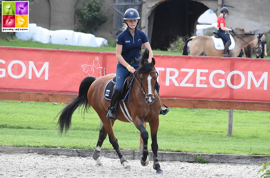 7 championnats d'Europe consécutifs pour l'étalon Poney Français de Selle Quabar des Monceaux - ph. Poney As