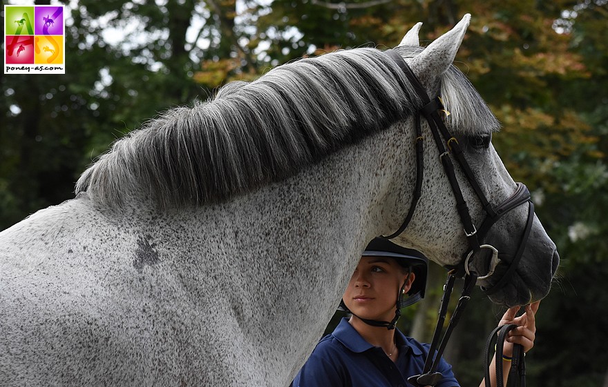 Miclas Aristocrat (Suède) - ph. Poney As