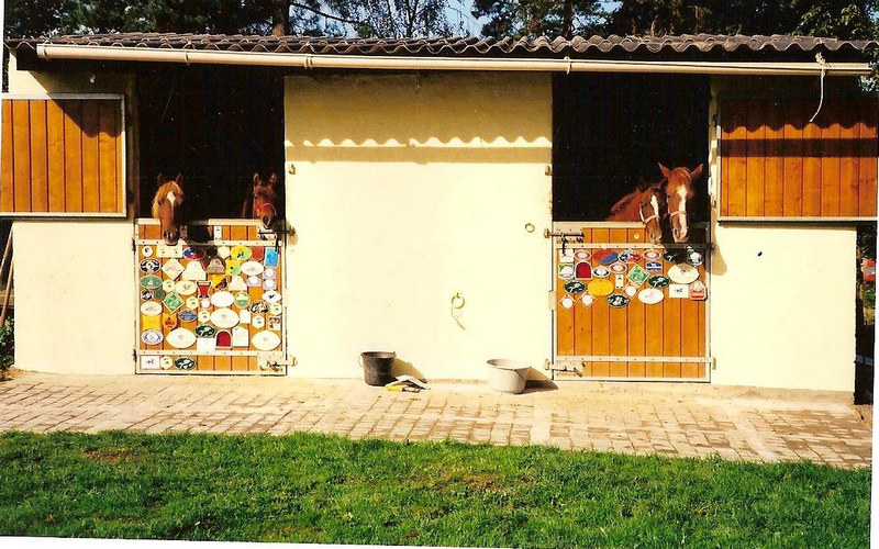 Océan avec sa mère Carola III, dans le boxe de gauche - ph. M.N. Fulop