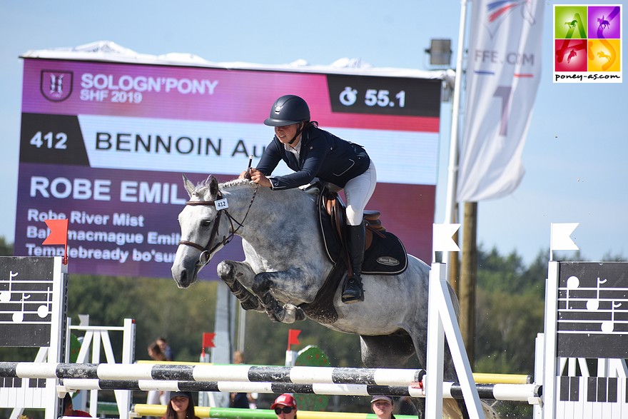 Robe Emily, classée Excellent sous la selle d' Aude Bennoin - ph. Poney As