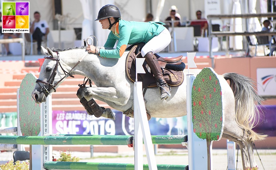 Déesse de Montiege, née au GAEC de Montiège (53) et montée par Alice Callette (Excellent en 6 ans D), est une fille d'Aron N SL, détenteur cette année du meilleur ratio % de finalistes / nombre de naissances - ph. Poney As