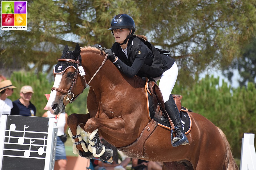 Champagne d’Ar Cus est l’un des meilleurs représentants de la génération des 7 ans de l’étalon Machno Carwyn - ph. Poney As