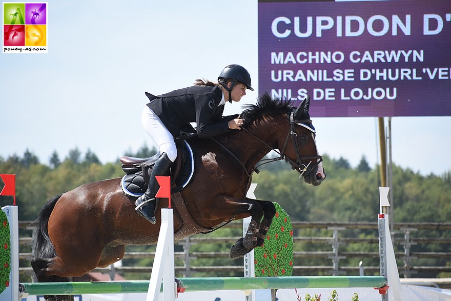 Cupidon d'Hurl'Vent et Salomé Court – ph. Poney As